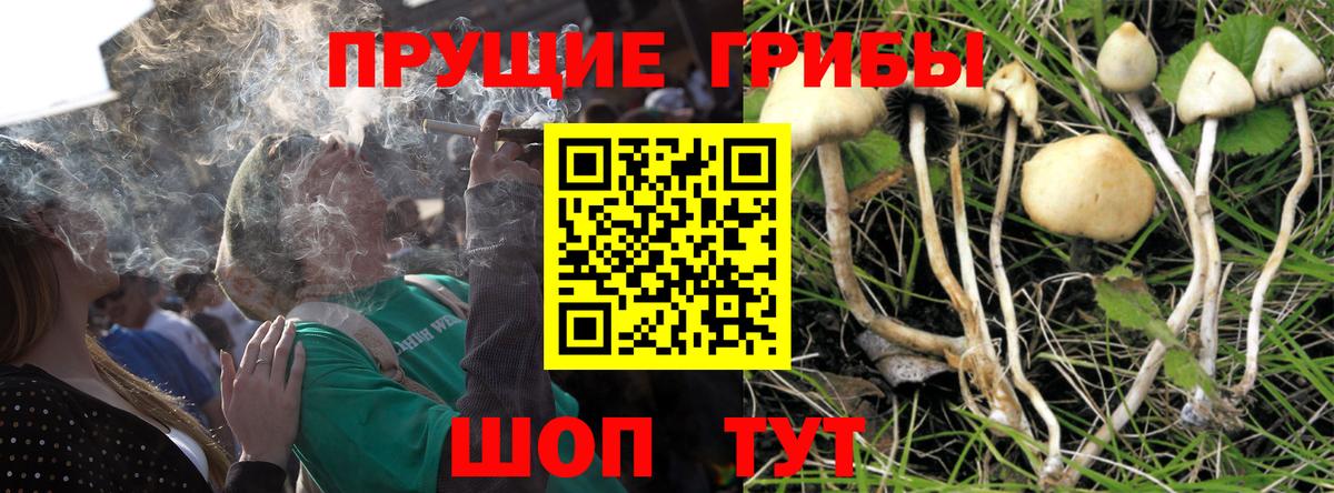 Галлюциногенные грибы мицелий  Вход с VPN  Похвистнево 